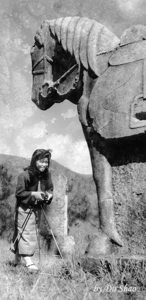 Stone Horse at Zhang Gelao Tomb