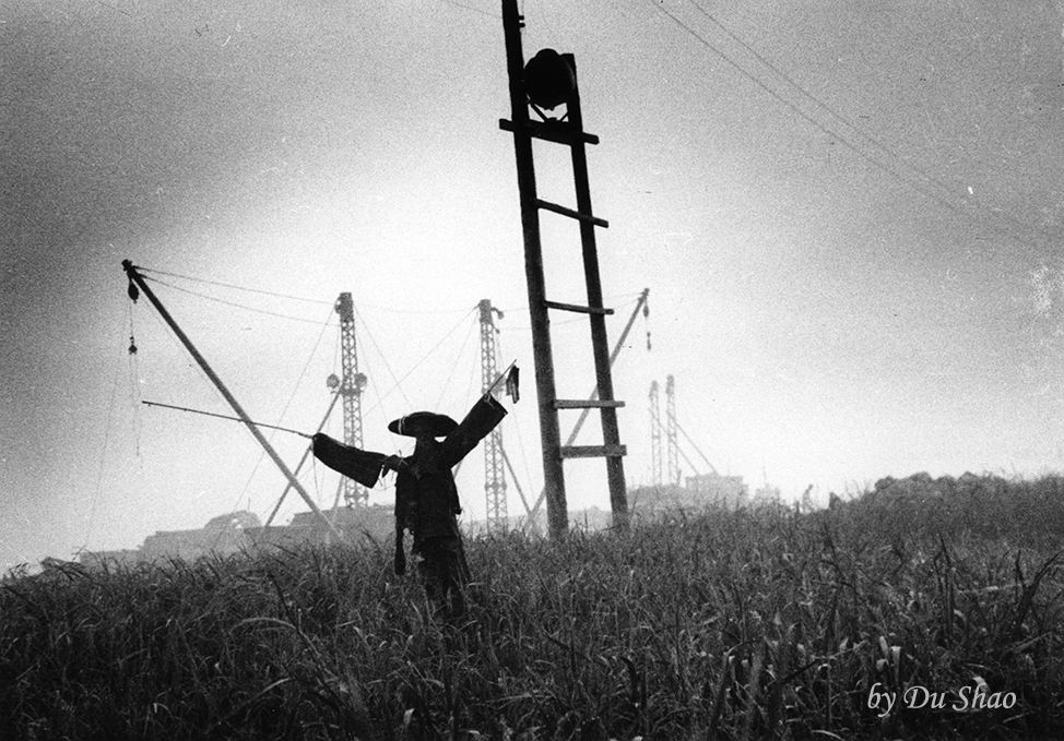 Scarecrow in the Field