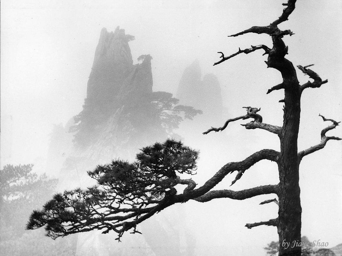 Fog Around Huangshan