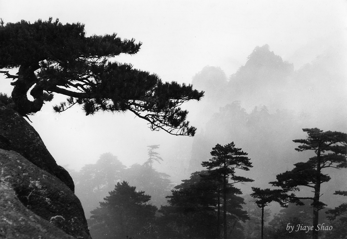 Mount Huangshan (8)