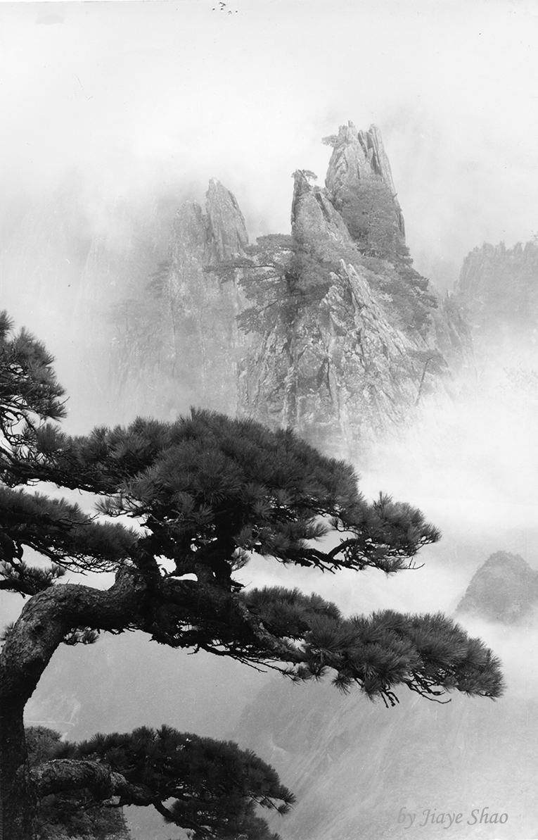 Mount Huangshan (9)